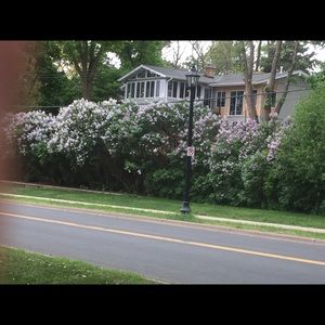 Meet your Posher, Amir